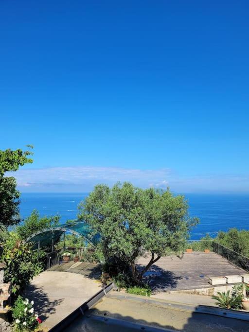 Sun & Relax, Relaxing Location With Seaview Villa มัสซาลูเบรนเซ ภายนอก รูปภาพ